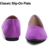 image:imageHee grand Flats for Women Classic Solid Pointed Toe Ballet Shoes Suede Dress Shoes Casual Comfort SlipOn Loafers LightweightPurple