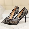image:imageHee grand Women Sexy Pointed Toe Lace High Heels Comfort Work Pumps Ladies Stilettos Bridal Dress Shoes for WeddingBlack