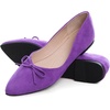 image:imageHee grand Womens BowKnot Ballet Flats Classic Pointy Toe Shallow Flats Casual SlipOn Loafers Comfort Walking Flats Faux Suede Dressy ShoesPurple