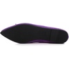 image:imageHee grand Womens BowKnot Ballet Flats Classic Pointy Toe Shallow Flats Casual SlipOn Loafers Comfort Walking Flats Faux Suede Dressy ShoesPurple