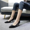 image:imageHee grand Womens Kitten Heels Pumps Classic Low Heel Slip On Closed Pointed Toe Pumps Office Work Dress Pump Shoes084black2 Inch